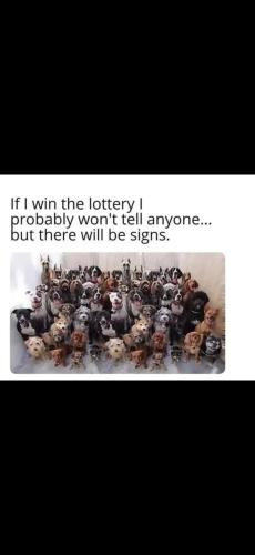 Screenshot_20241229_184609_Gallery