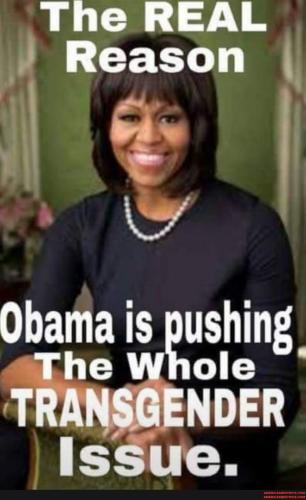 865686abdae14f4900f744fa066d45ae470bc74c690e09e0f7d3a1dd18a1acd0_1