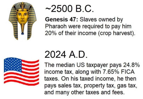 image_2024-12-31_063602102