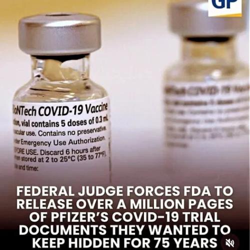 6686a57620f5a73cc520ad5fafb94149