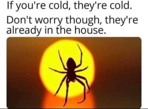 20241203_154918
