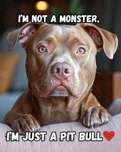 FB_IMG_1735487706677