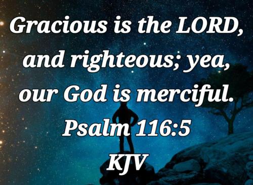 22608fd8-4280-42a9-8bae-f33b8afd49fb