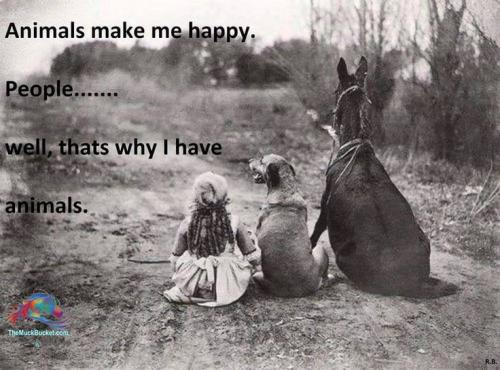 a4cc67bf58b031fbc827cdcfd0c7953f