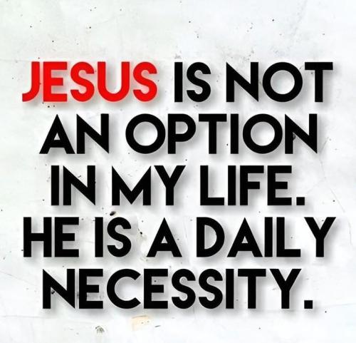 IMG_20241211_171204_412