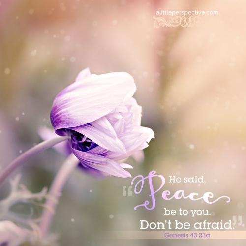 gen-43-23-unsplash-9x