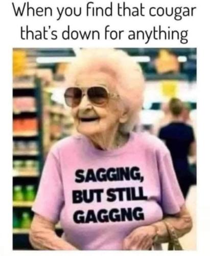 image_B9AF4E13-CDB6-482A-9641-9AB22DB663D5