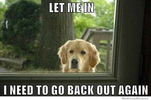 let-need-go-back-out-again-weknowmemes