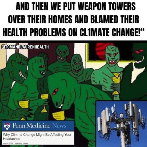 photo_2024-12-01_22-58-10