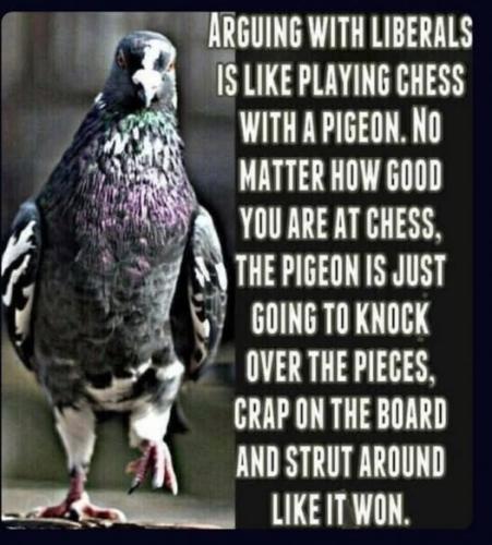 Pigeons