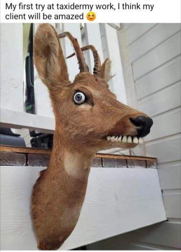 image_A7C6C793-16E5-4818-8528-D4CAF74BE8FA