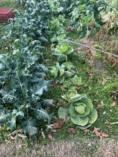 7905BE31-BC95-45F7-ADE3-81EFB68A38F2