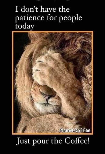 2e344b4dd9d33d2fccd38fd4f5288a94