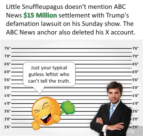 image_2024-12-20_061352131