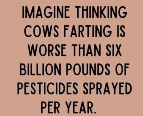 2b14600b6cd3fadcfe9c98853c5256f9