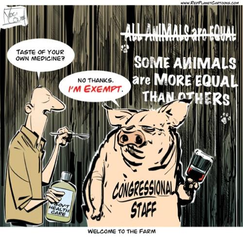 OBAMACARE CONGRESSIONAL HYPOCRITES, OBAMA CARTOONS