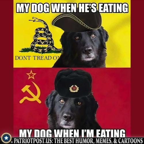 01JFEJ3756FHP82QGQ0SMZ5AKH