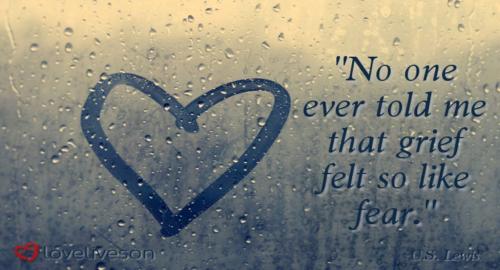 No-One-Ever-Told-Me-Grief-Feels-Like-Fear-Meme-1024x555-1-1024x555