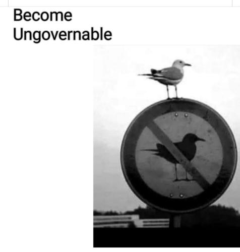 Screenshot_20241228_091008_Facebook