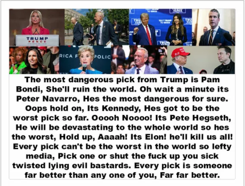 image_2024-12-08_103049454