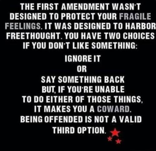 1st Amendment