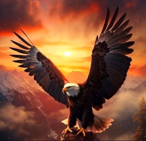 14:19:24 GMT-0600 (CST)