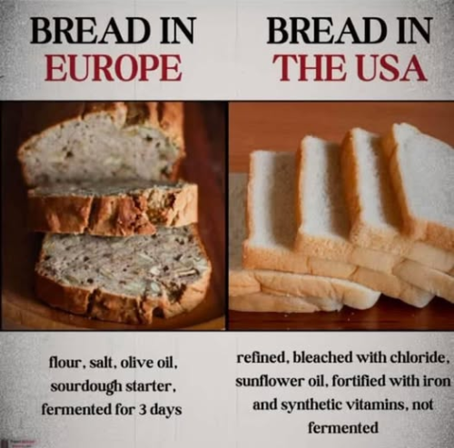 image_2024-12-25_081410981