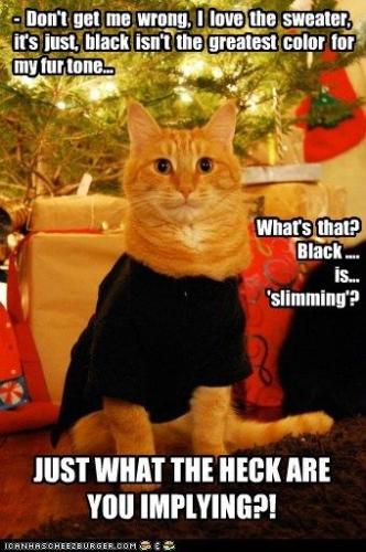 89cc8ca316746cd480dde3df7d7c3384