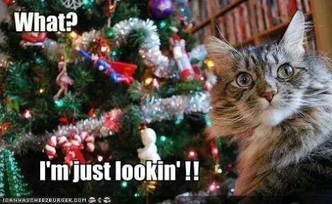 4a4a5ef904219d0ea1c745ede0ab4c30