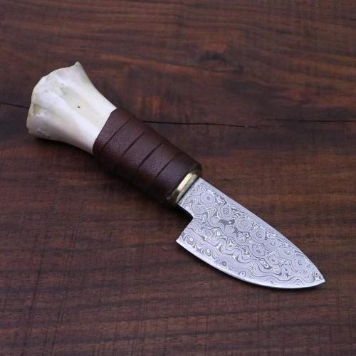 FB_IMG_1637331863379