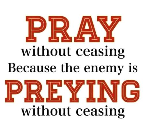 photo_2024-12-09_16-55-34