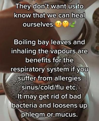 5d5bb28c31b2a558ee963ddd6ebb687d