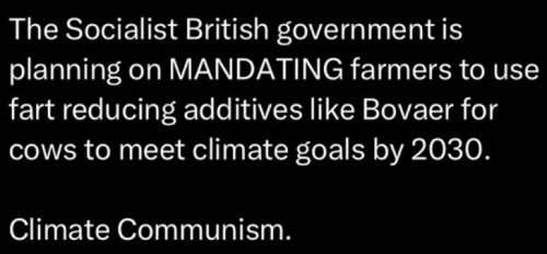 image_2024-12-10_062740868