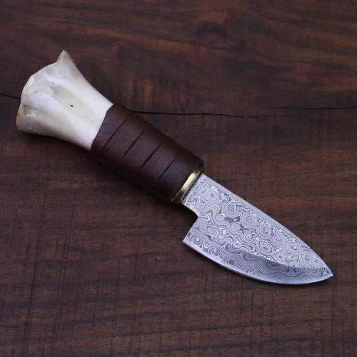 FB_IMG_1637331869320