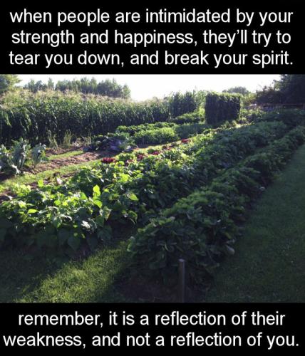 when people are intimidated by your strength and happiness