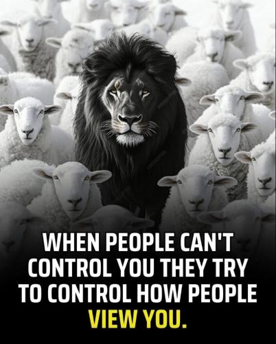 19689cc8-6c39-40ab-aadd-92542ed30759