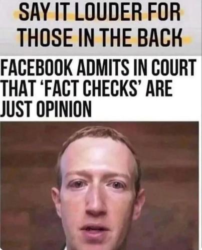 fact checkers m