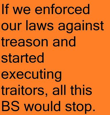 Enforce_treason_law_execute