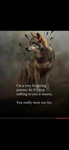 Screenshot_20241227_113619_Gallery