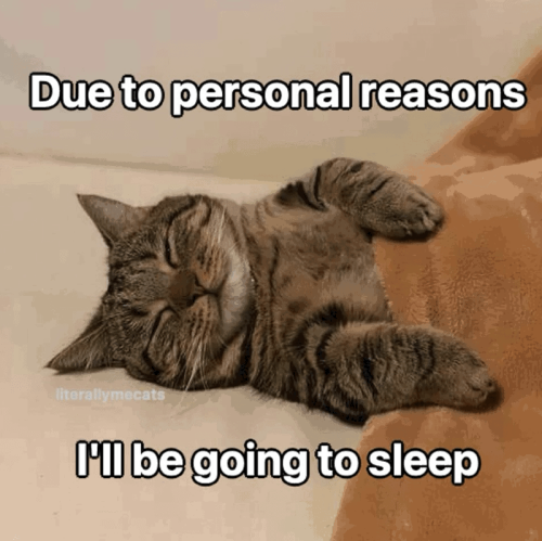 due-personal-reasons-literallymecats-be-going-sleep