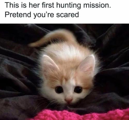 this-is-her-first-hunting-mission-pretend-scared