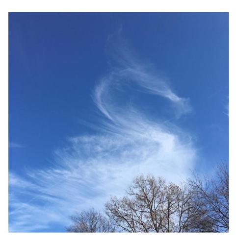 8784521c-b202-4641-a0be-d56bcbb1d1f2