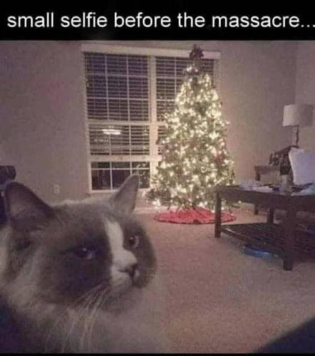 small-selfie-before-massacre