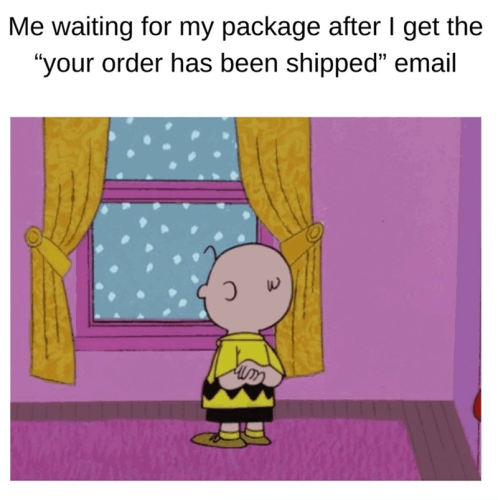 waiting-my-package-after-get-order-has-been-shipped-email