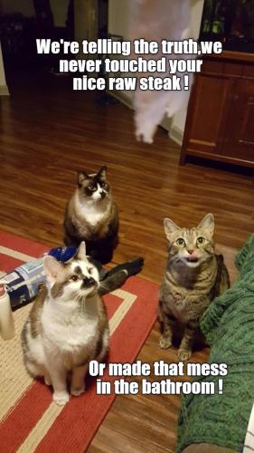 a13e974a54dc85207134d683e4cbde05