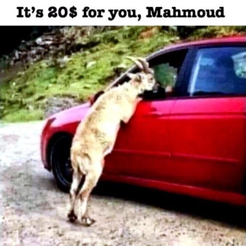 image_67A2E92C-1487-4922-B0E1-FF914FF86FE7