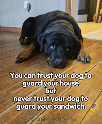 FB_IMG_1735421183354