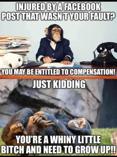 Screenshot_2024-12-05-12-55-46-84_a23b203fd3aafc6dcb84e438dda678b6