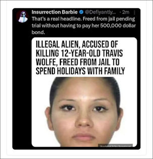 illegal immigration408