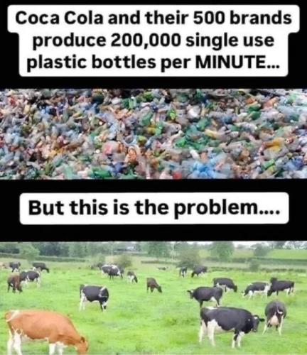 d0fc43907350780d4d89bb0c828b441a